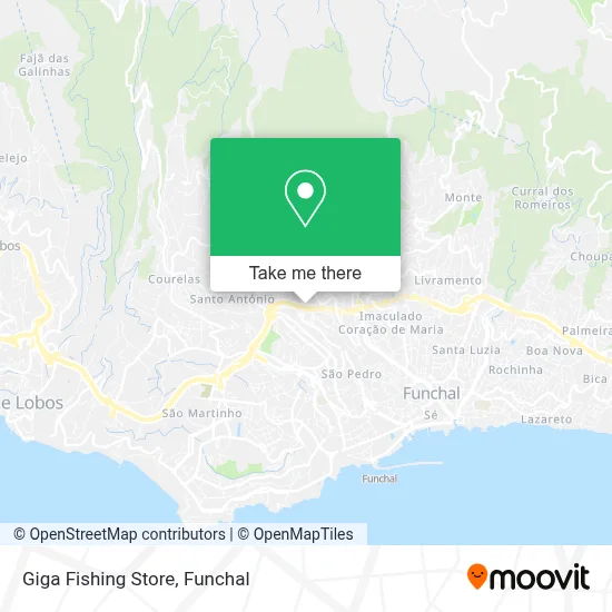 Giga Fishing Store map