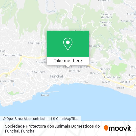 Sociedade Protectora dos Animais Domésticos do Funchal map