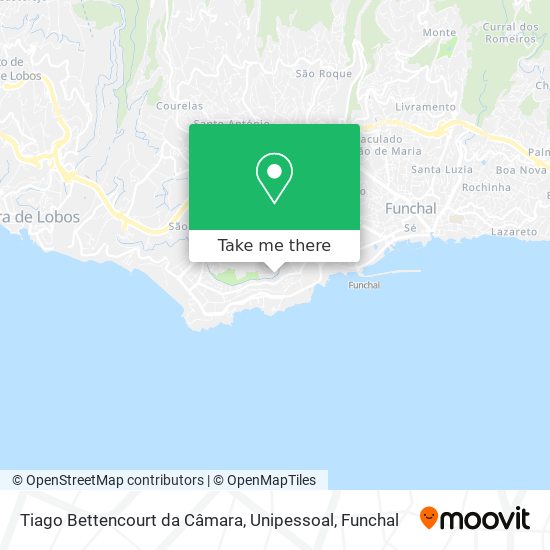 Tiago Bettencourt da Câmara, Unipessoal mapa