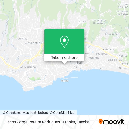 Carlos Jorge Pereira Rodrigues - Luthier mapa