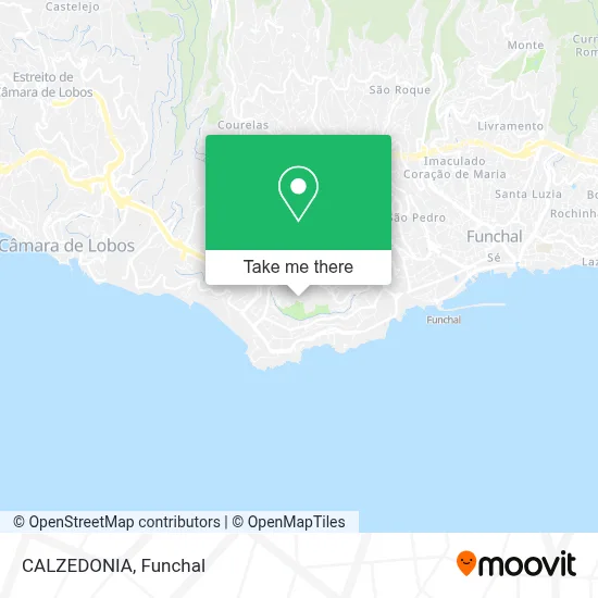 CALZEDONIA map