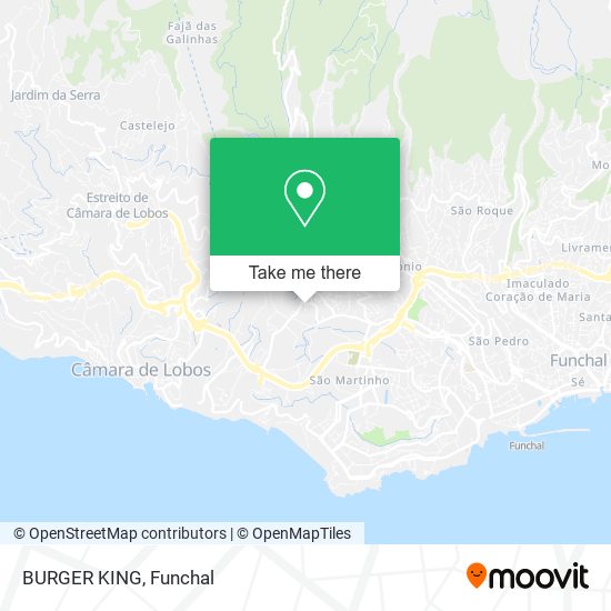 BURGER KING map