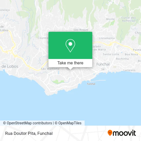 Rua Doutor Pita map
