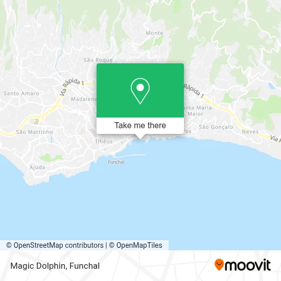 Magic Dolphin map