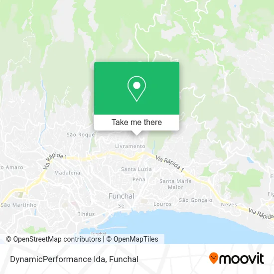 DynamicPerformance lda map