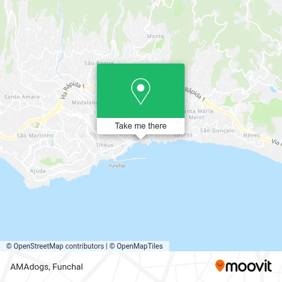 AMAdogs map