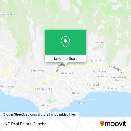 NP Real Estate map