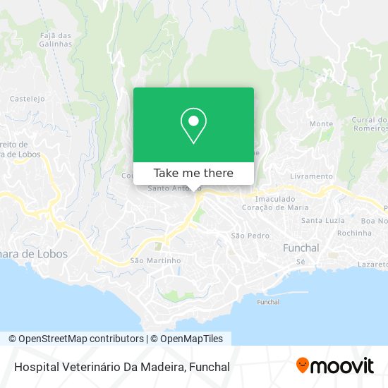 Hospital Veterinário Da Madeira map