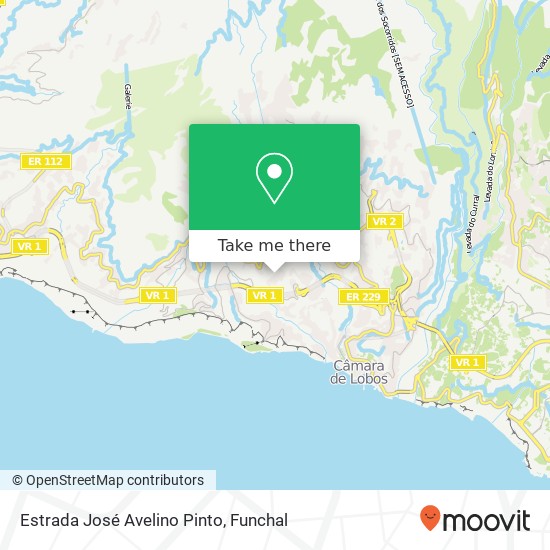 Estrada José Avelino Pinto map