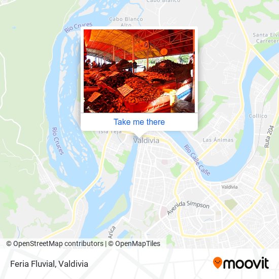 Feria Fluvial map