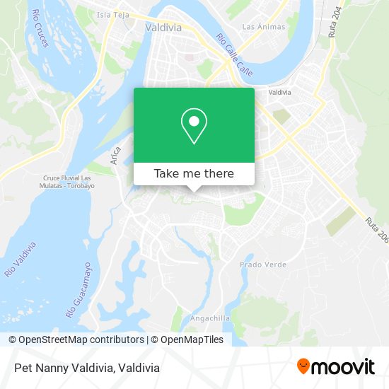 Pet Nanny Valdivia map