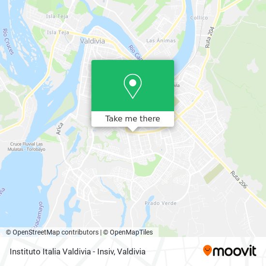 Instituto Italia Valdivia - Insiv map