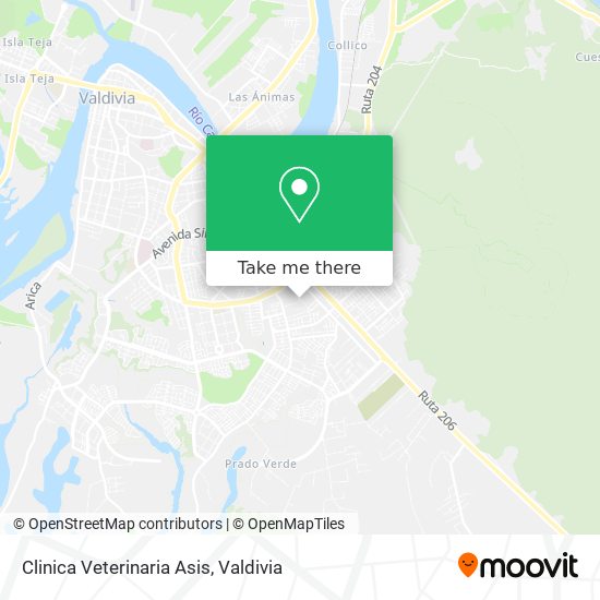 Clinica Veterinaria Asis map