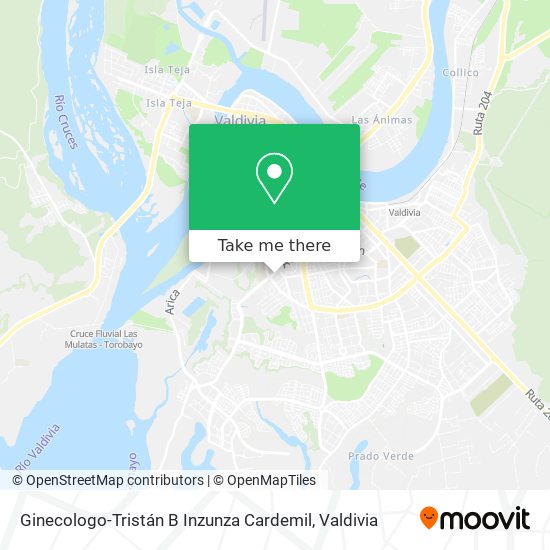Ginecologo-Tristán B Inzunza Cardemil map