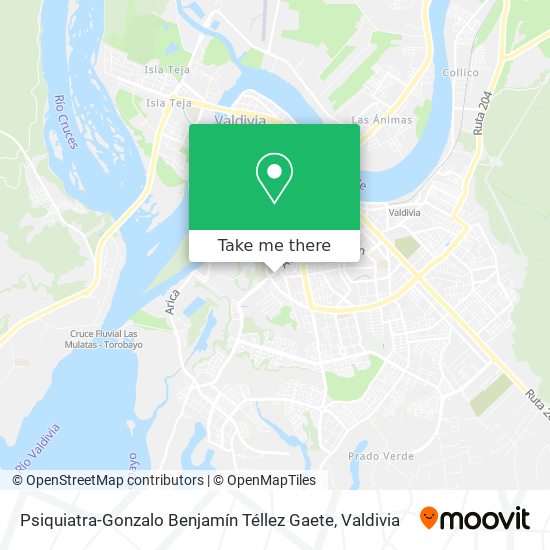 Mapa de Psiquiatra-Gonzalo Benjamín Téllez Gaete