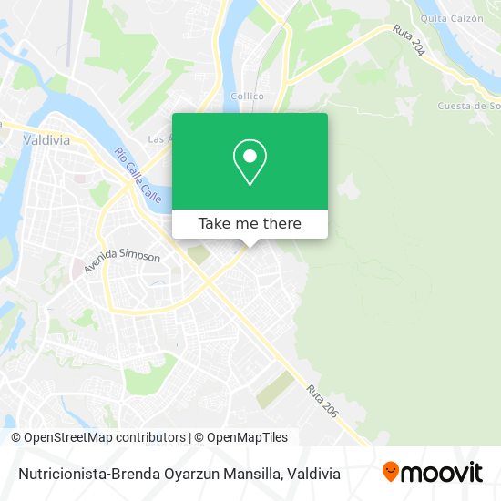 Nutricionista-Brenda Oyarzun Mansilla map