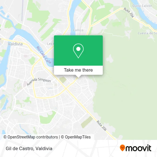Gil de Castro map