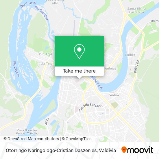 Otorringo Naringologo-Cristián Daszenies map