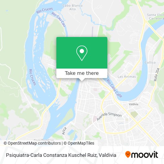 Psiquiatra-Carla Constanza Kuschel Ruiz map
