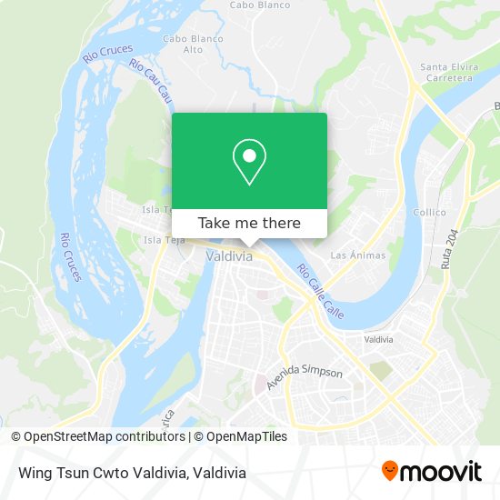 Mapa de Wing Tsun Cwto Valdivia
