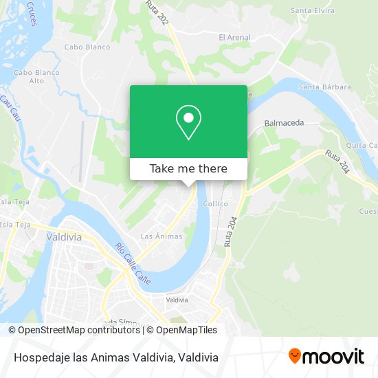 Hospedaje las Animas Valdivia map