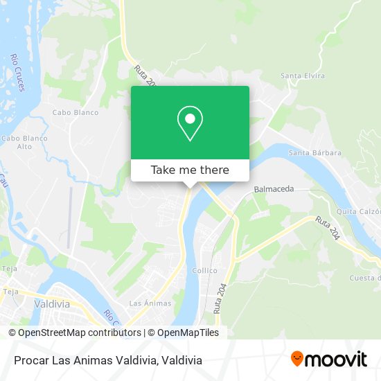 Procar Las Animas Valdivia map