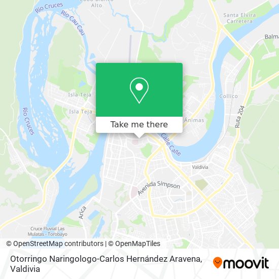 Mapa de Otorringo Naringologo-Carlos Hernández Aravena