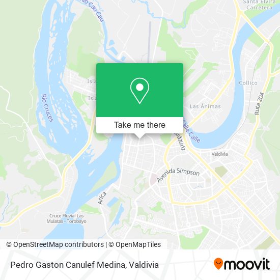 Pedro Gaston Canulef Medina map