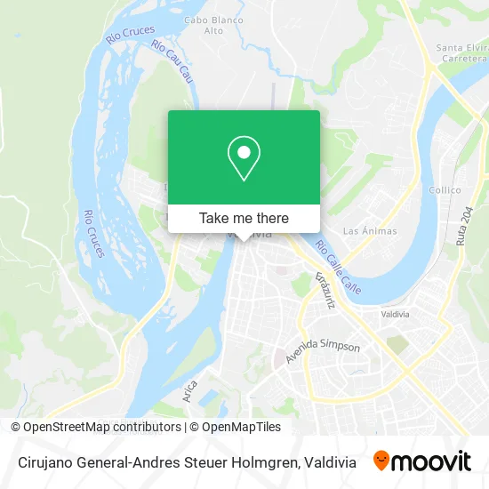 Cirujano General-Andres Steuer Holmgren map