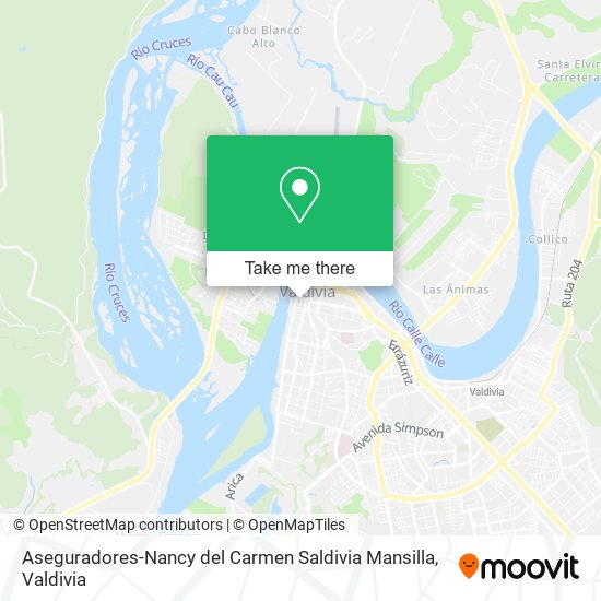 Mapa de Aseguradores-Nancy del Carmen Saldivia Mansilla