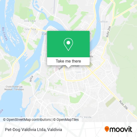 Pet-Dog Valdivia Ltda map