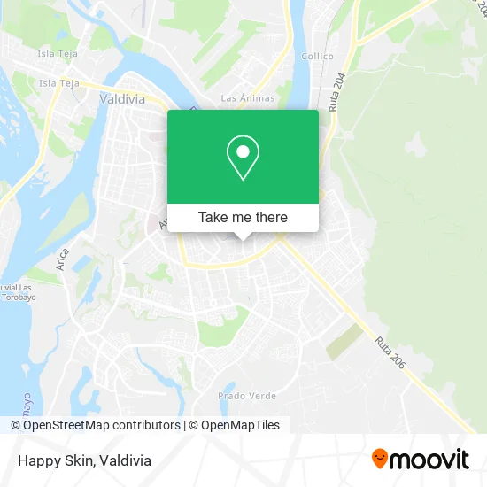 Happy Skin map