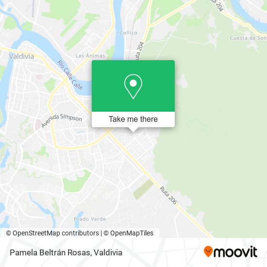 Mapa de Pamela Beltrán Rosas