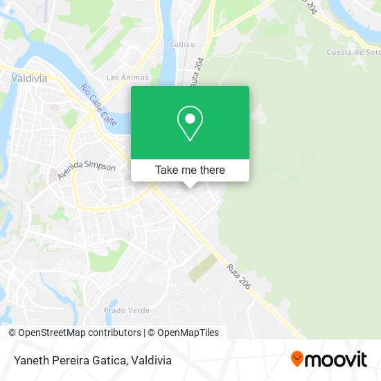 Yaneth Pereira Gatica map