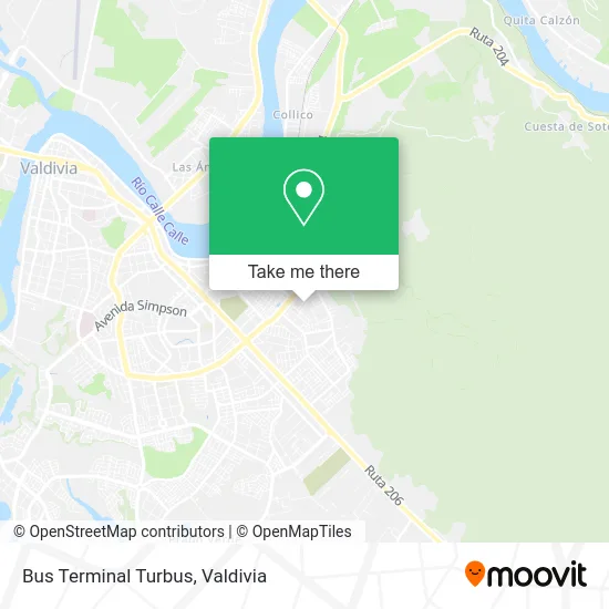 Bus Terminal Turbus map