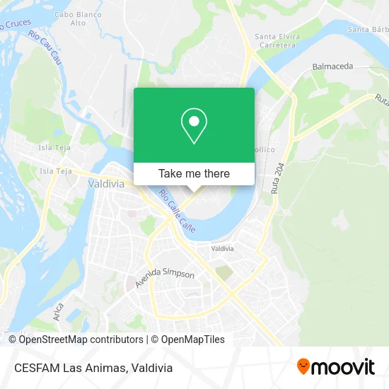 CESFAM Las Animas map