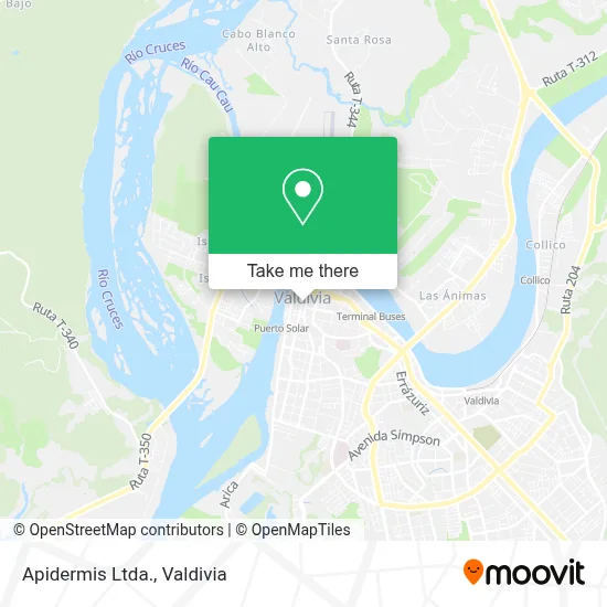 Apidermis Ltda. map