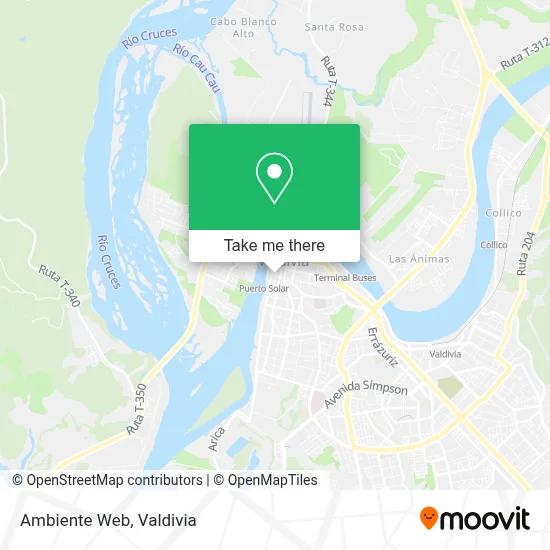 Ambiente Web map