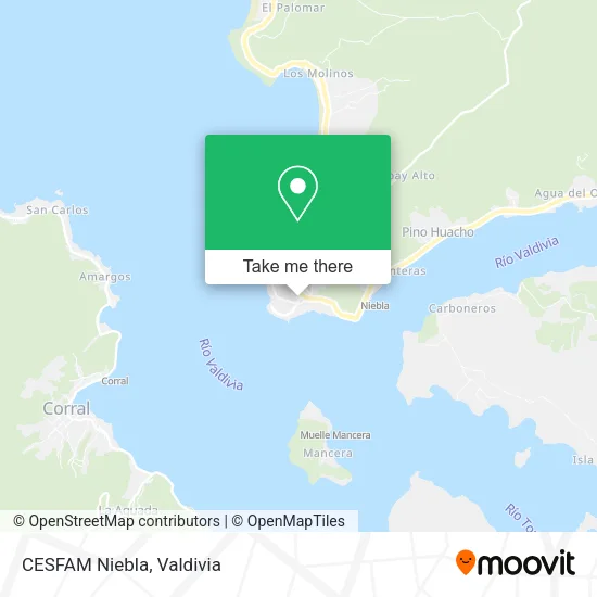 CESFAM Niebla map