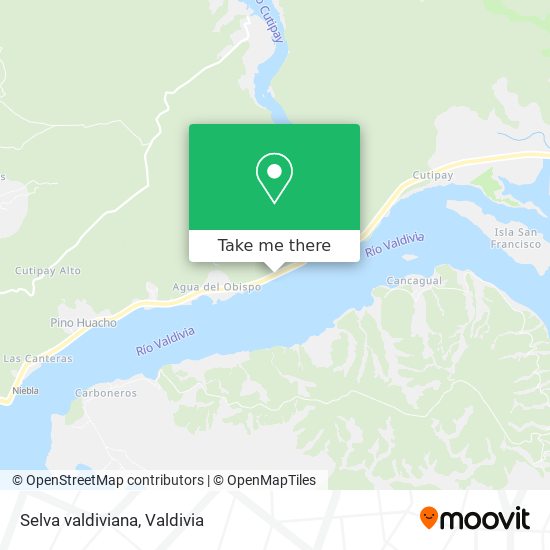 Mapa de Selva valdiviana