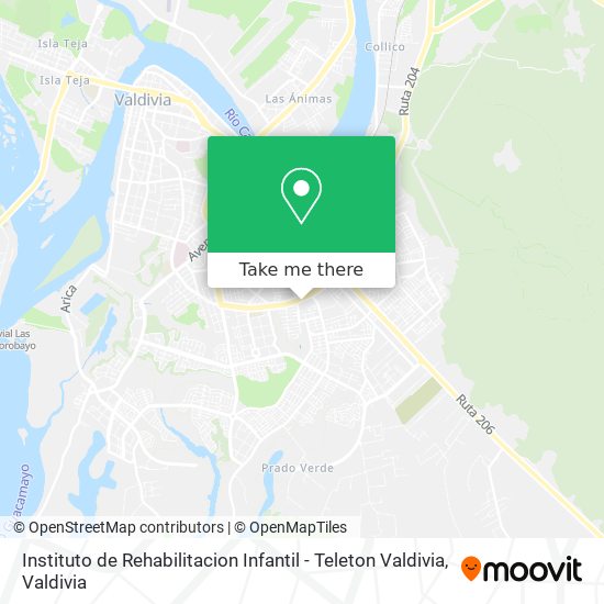 Mapa de Instituto de Rehabilitacion Infantil - Teleton Valdivia