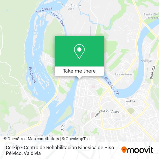 Mapa de Cerkip - Centro de Rehabilitación Kinésica de Piso Pélvico