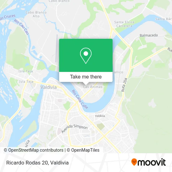 Ricardo Rodas 20 map