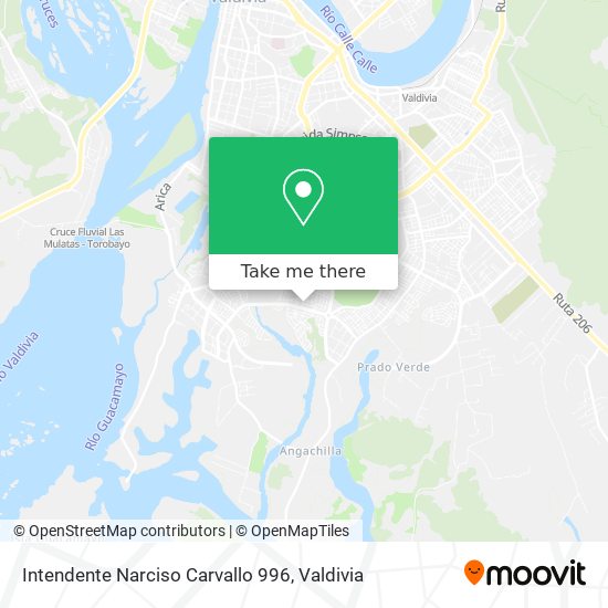 Mapa de Intendente Narciso Carvallo 996