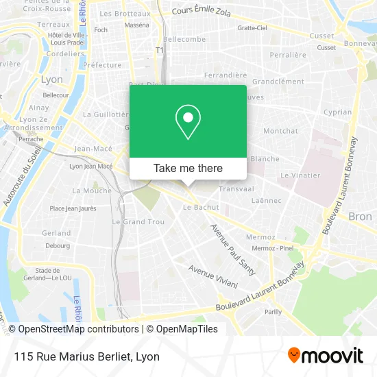 115 Rue Marius Berliet map