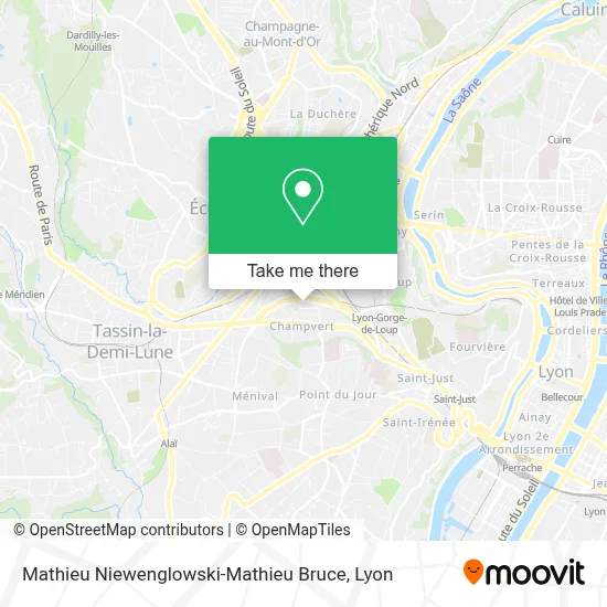 Mathieu Niewenglowski-Mathieu Bruce map