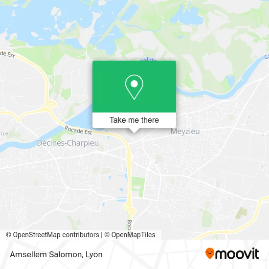 Amsellem Salomon map