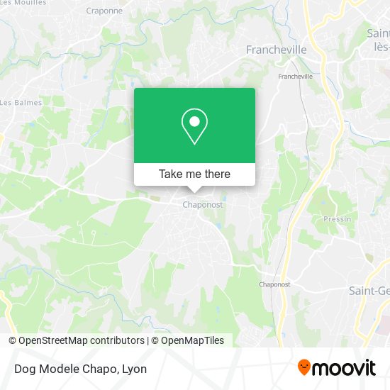 Dog Modele Chapo map
