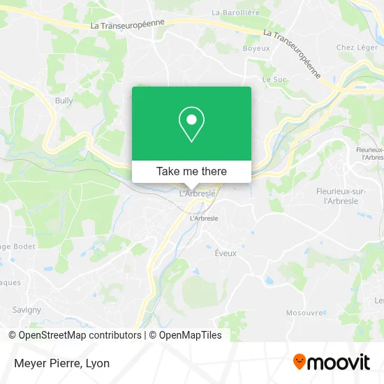Meyer Pierre map