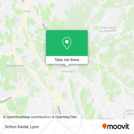 Schon Xavier map